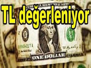 Dolar değer kaybediyor...