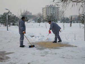 Selçukluda hayvanlar unutulmadı