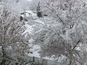 Konya kara teslim oldu