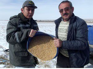 Karapınarda kuşlara yem bırakıldı