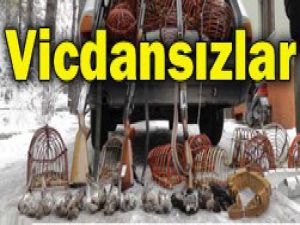 Bunun adı vicdansızlık
