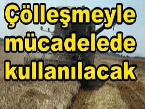 Konyadaki proje uluslararası arenada