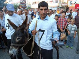 Konyada eşek yarışması