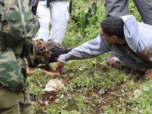 İsrail askerinin köpekli işkencesi