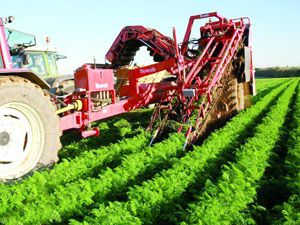 Suudiler Türk tarımına 3 milyar dolar yatıracak