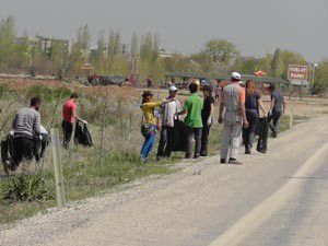 Öğrenciler Beyşehir Gölünün kıyılarını temizledi