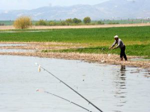 Beyşehirde tarlada balık avına çıktılar