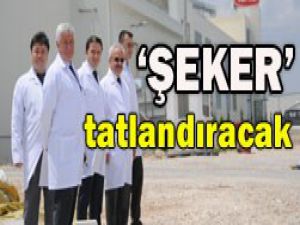 Torkudan Avrupa modeli geliyor