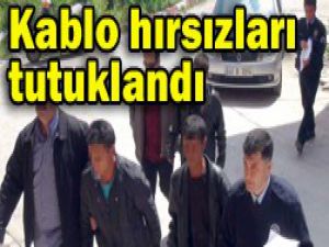 Kablo hırsızlarından ikisi tutuklandı