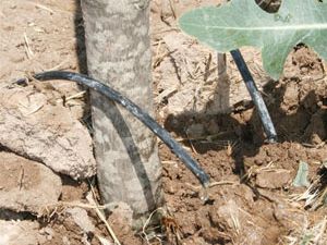 Ormanlık ve koruluk araziye damla sulama