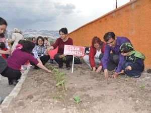 Anaokulu öğrencileri fide dikti