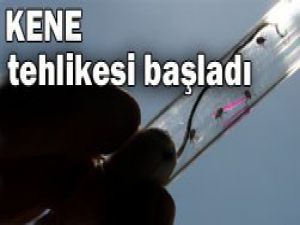 Keneden 3 kişi hayatını kaybetti