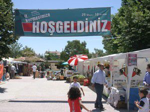 Kermes ilgi gördü