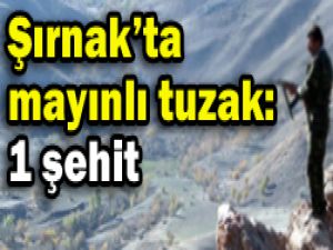 Şırnakta mayın tuzağı; 1 şehit