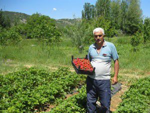 Hüyükte organik tarım mercek altında