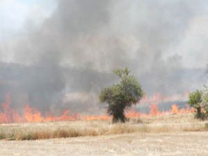 Anız yangını ormana sıçramadan söndürüldü