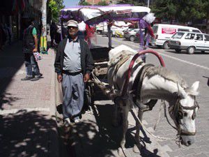 Süslenen at arabası sünnet düğünü bekliyor