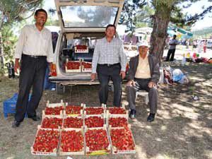 Organik çilekte Derbent başarısı