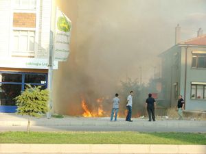 Ot yangını korkuttu