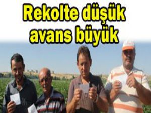 Üreticiye Konya Şeker desteği
