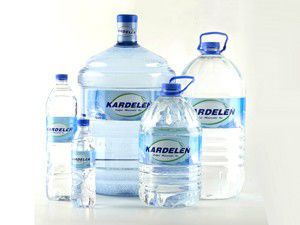 Kardelen Su; Bakanlığı yalanladı