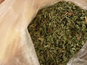 Konyada 76 kilo esrar ele geçirildi
