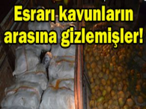 900 kilo esrar ele geçirildi