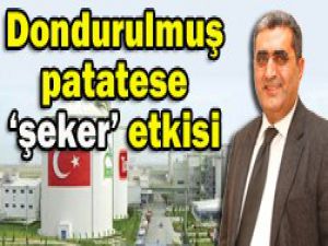 İhracatı 10a katlandı