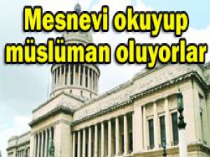 Mesneviden etkilenmişler