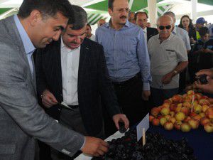 Meramda organik pazar açıldı