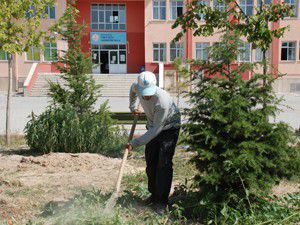 Okul bahçelerinde çevre düzenlemeleri