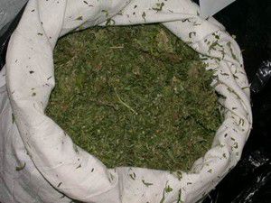 5 kilogram esrar ele geçirildi