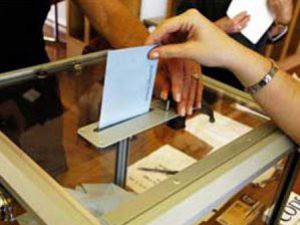 Belediye başkanını da telaşlandırdı