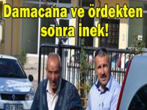 Bu iddia doğruysa..