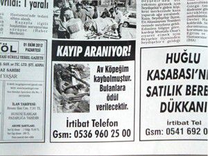 Kayıp av köpeğini gazete ilanıyla arıyor