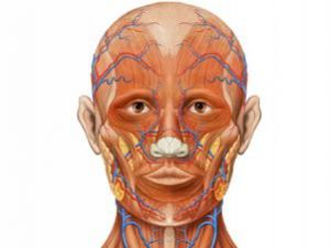 İnsan Anatomisinde Korkunç Değişim