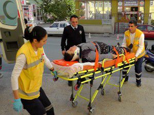 Ceviz ağacından düşen kadın yaralandı