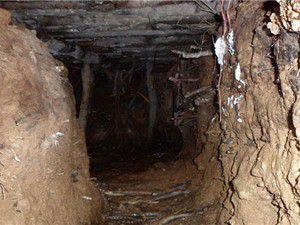 6 sığınak ve 55 kilo patlayıcı bulundu