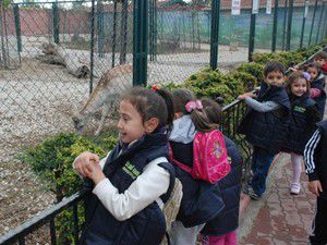 Ana sınıfı öğrencileri hayvanat bahçesini gezdi
