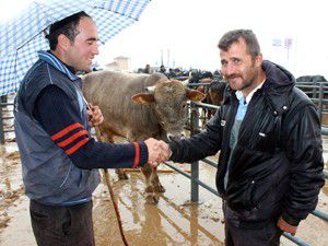 Beyşehirde hayvan pazarında hareketlilik