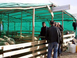 Kurban Promosyonu
