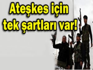 Suriyede şartlı ateşkes!