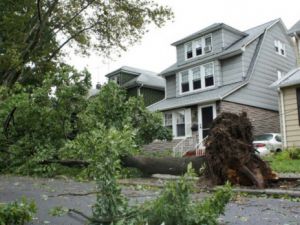 Sandy 39 can aldı
