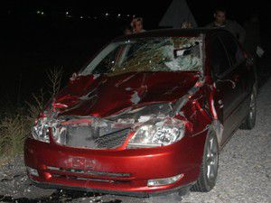 3 araç yola çıkan ineklere daldı: 9 yaralı