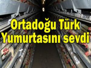 Yumurta ihracatında hedefe ulaşıldı