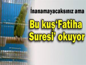 İnanamayacaksınız ama gerçek
