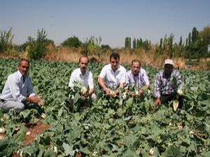 Konyalı çiftçi iyi tarımı öğrenecek