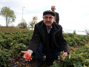 Beyşehirde organik tarım atağı