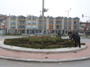 Beyşehirde 10 bin lale soğanı ekildi