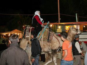 Beyşehirde deve turları ilgi görüyor